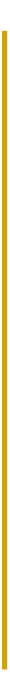 Galaxy Vertical Line Homepage Vertical gold line graphic.
